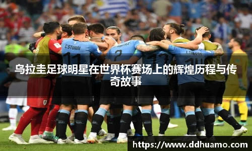 米兰体育官方网站