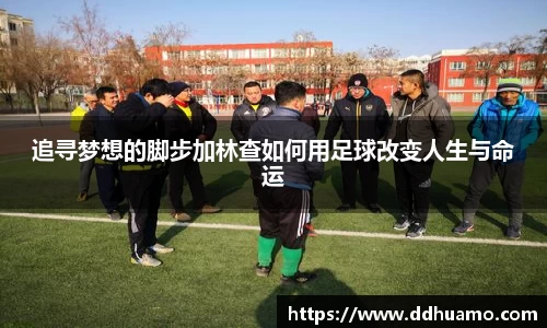 追寻梦想的脚步加林查如何用足球改变人生与命运